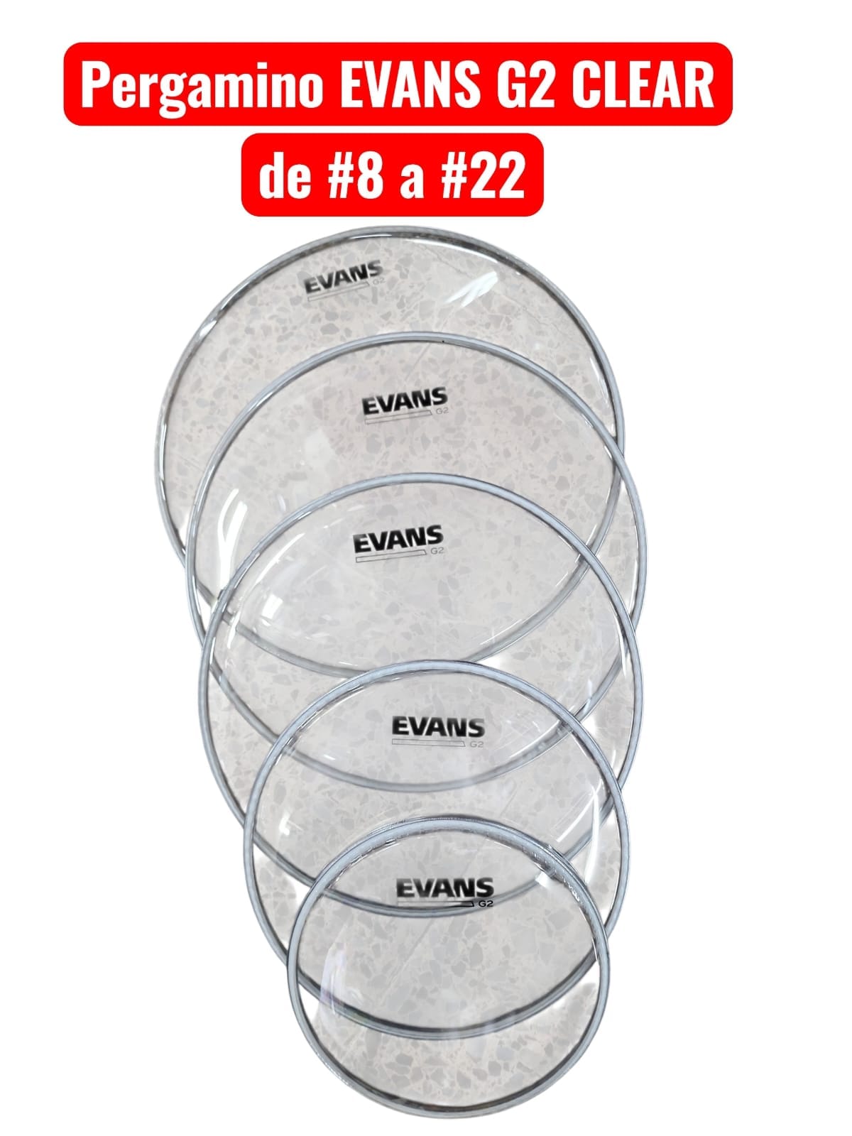 Pergamino Evans G2 Clear #8 al #22