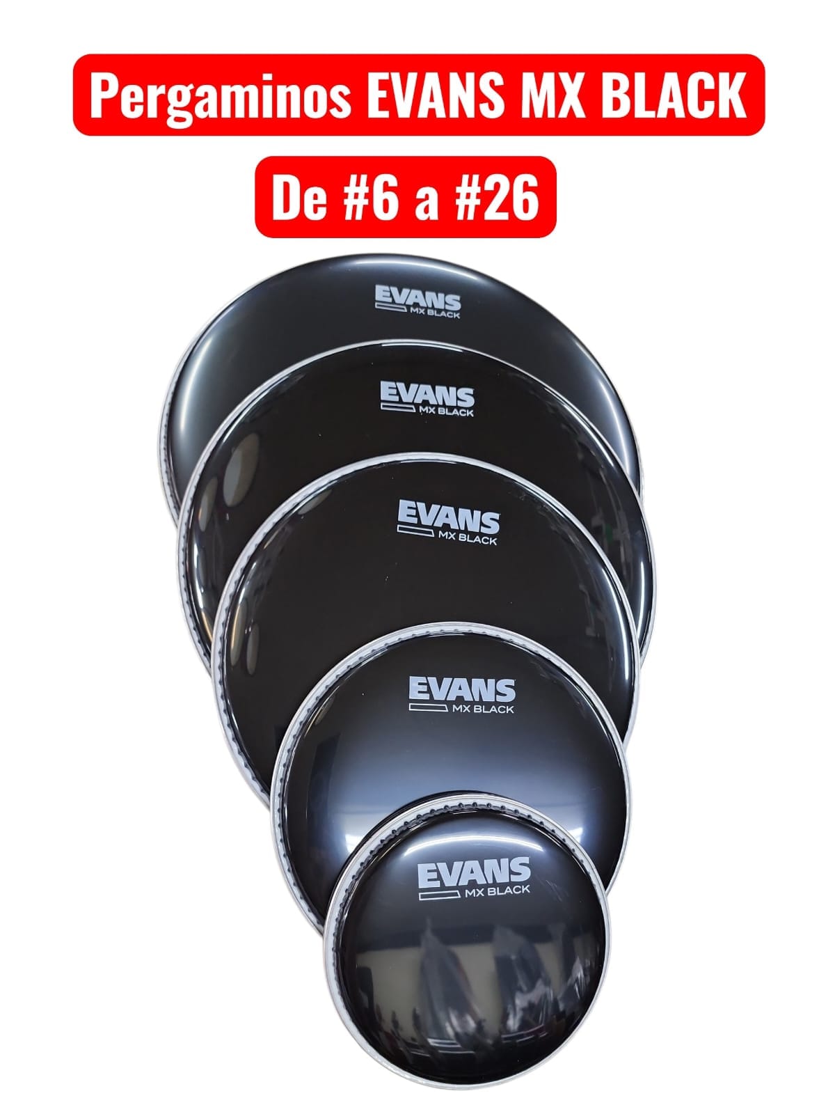 Pergamino Evans MX Black #6 al #26