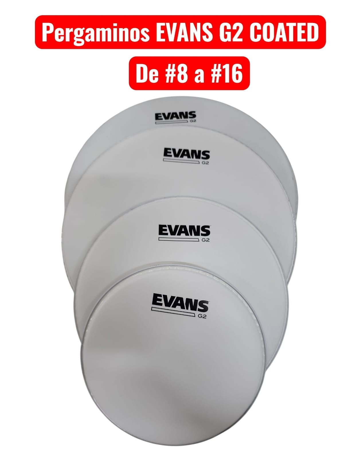 Pergamino Evans G2 Coated #8 al #16